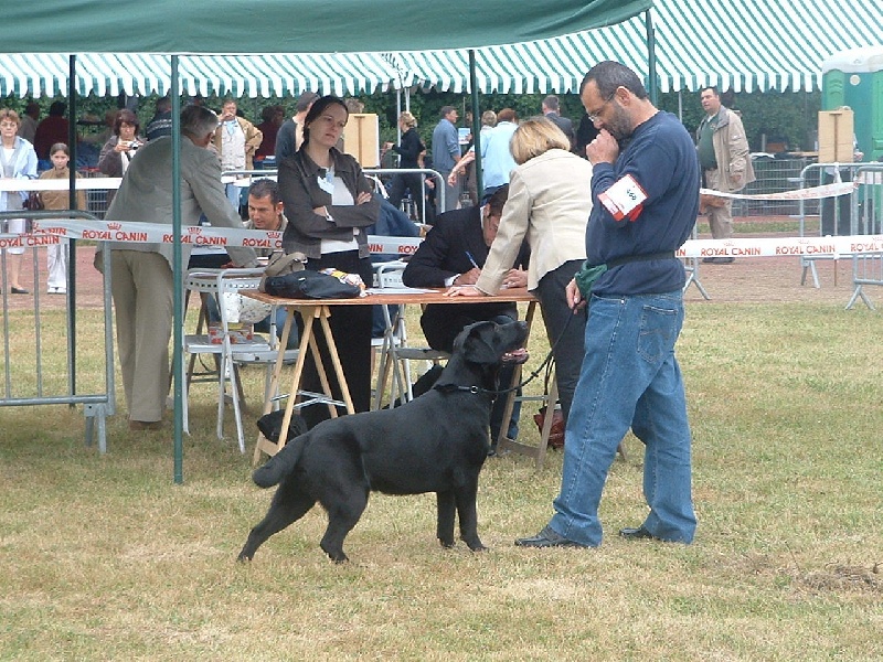 Baxter du Premorgan